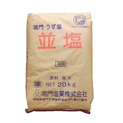 激レア 長崎県産 法螺貝 ホラガイ 1.28kg