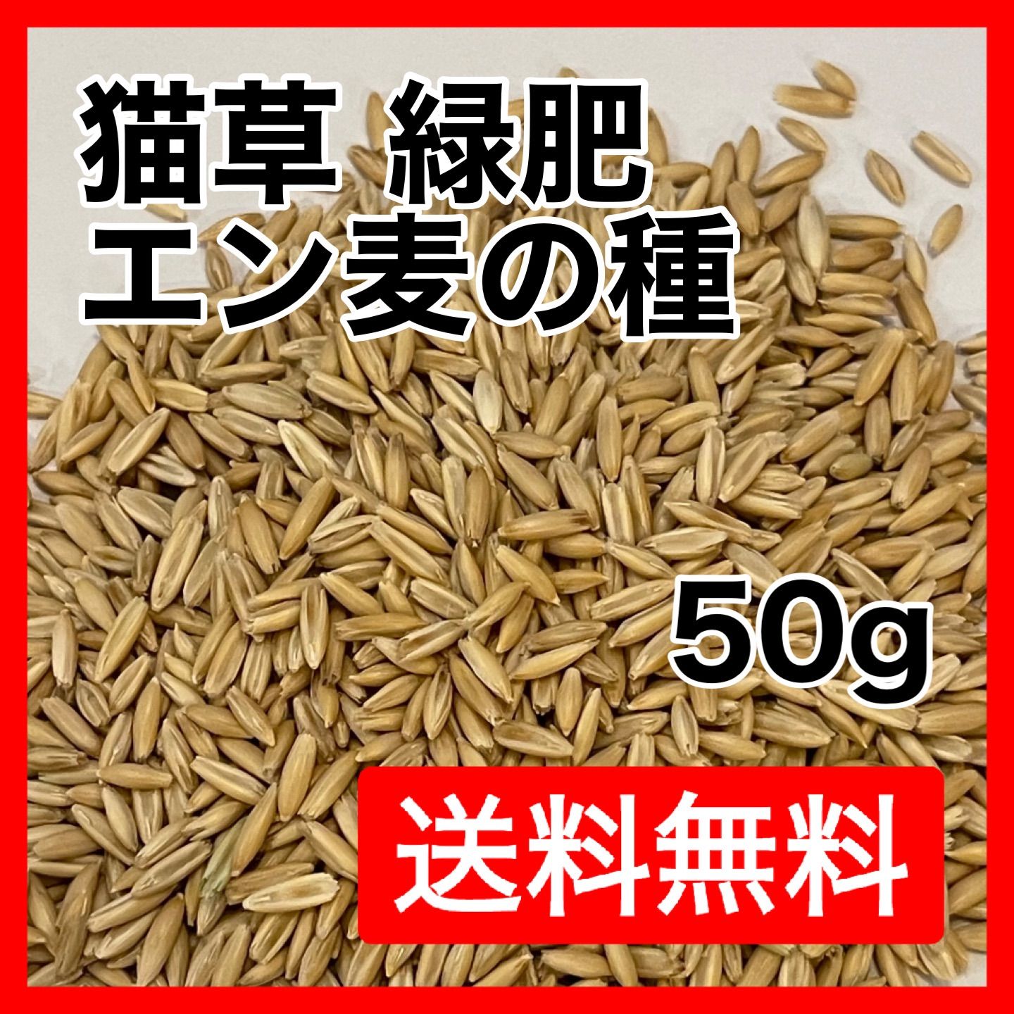 猫草 ネコ草 エン麦 種 植物 毛玉ケア 緑肥 50g - 猫用品