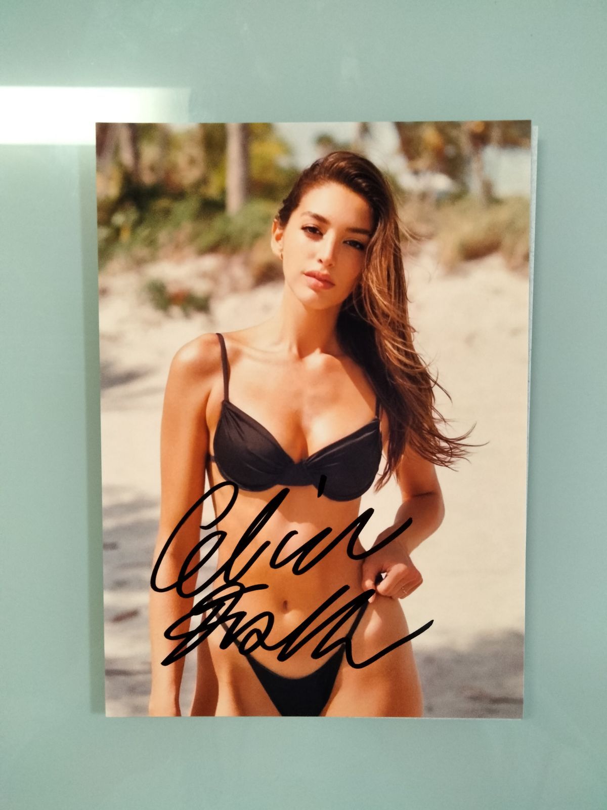 セリーヌ・ファラク直筆サイン入り2Lサイズ写真…Celine Farach… - メルカリ