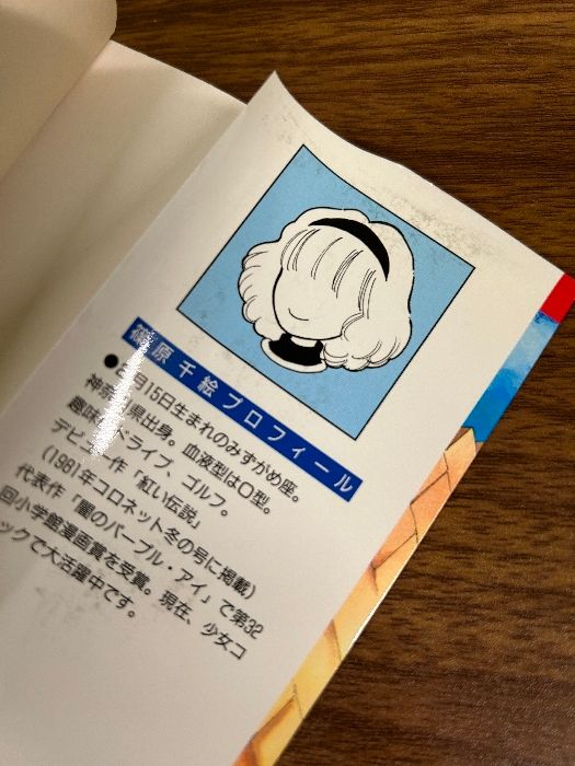 天は赤い河のほとり 全28巻揃いセット＋霧の森ホテル