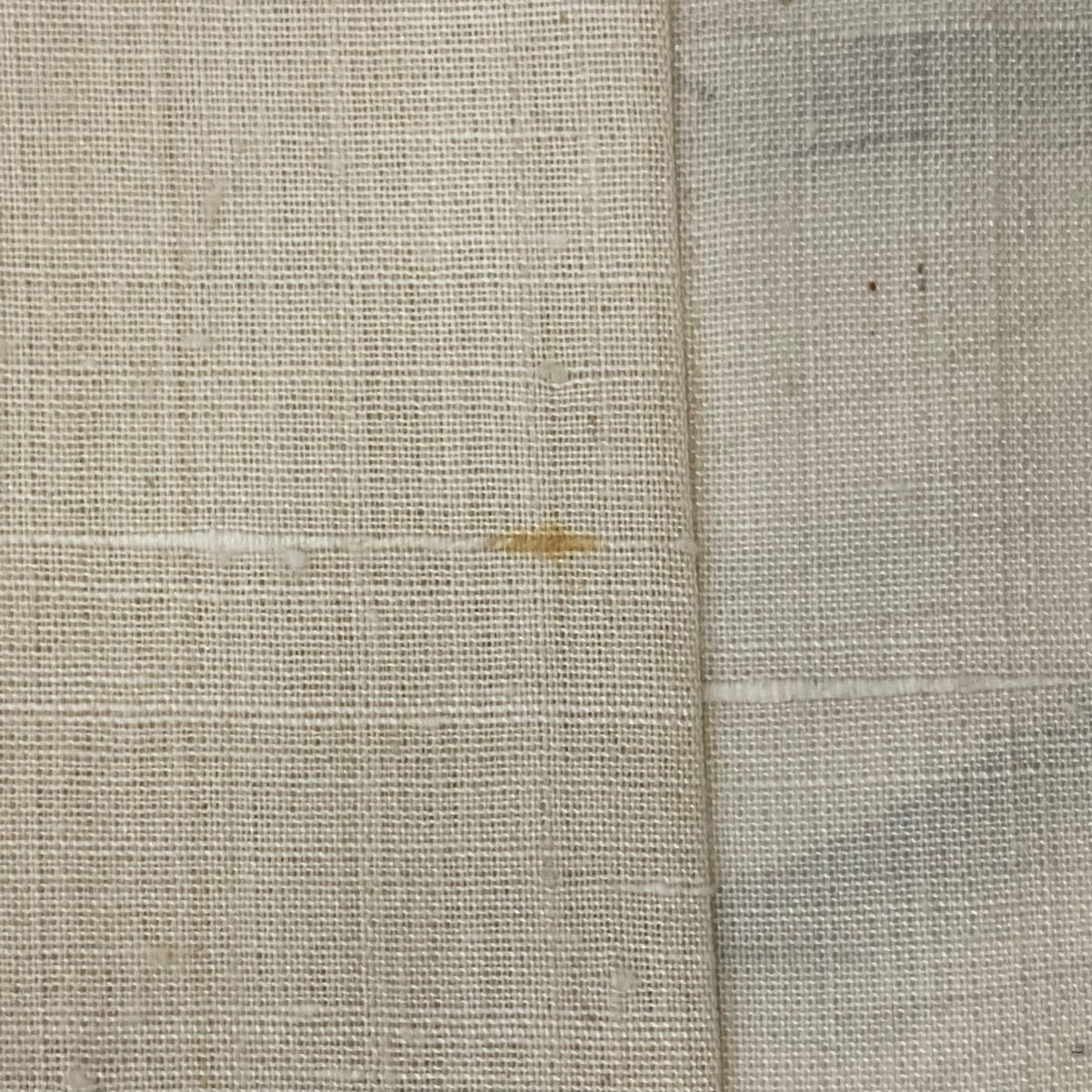 付下げ 身丈166cm 裄丈67.5cm L 薄物 夏紬地 魚 楓 ベージュ 正絹 美品  