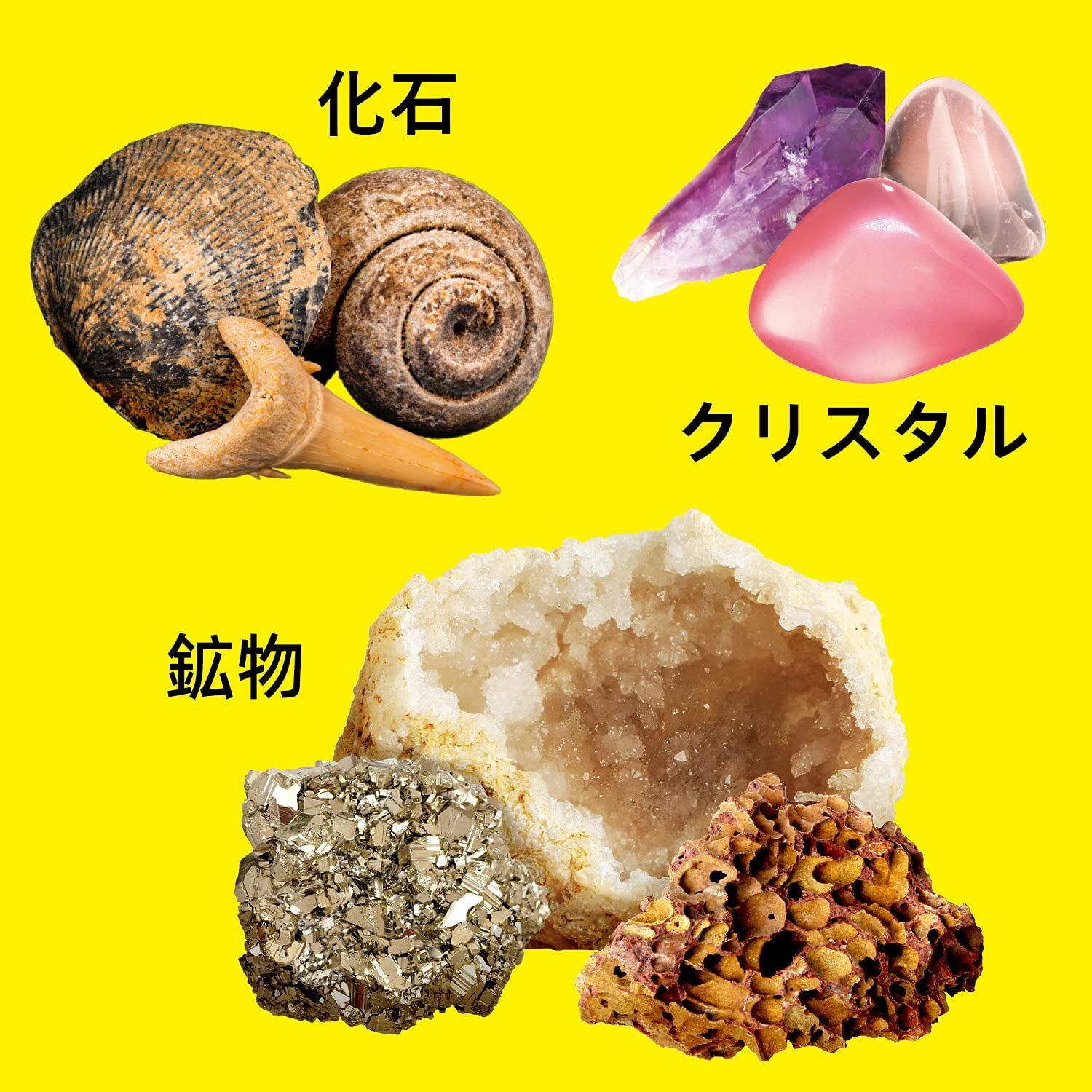 XXTOYS 鉱石標本 宝石おもちゃ 化石 天然鉱石 ジオード 天然化石