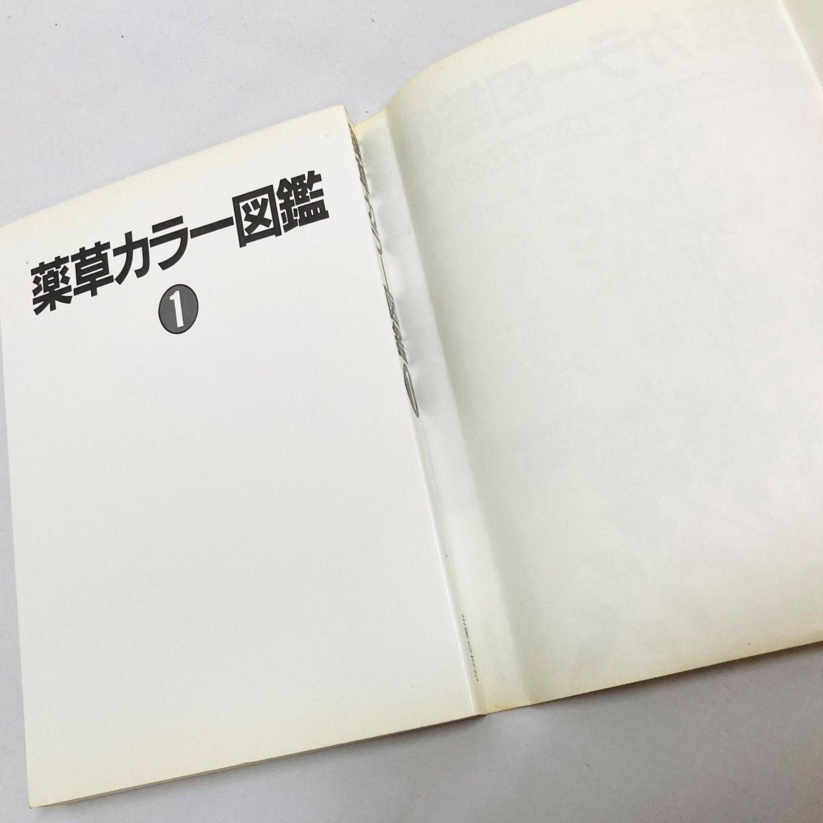 希少＊レア本＊中古 薬草カラー図鑑 1巻 伊沢一男 主婦の友社