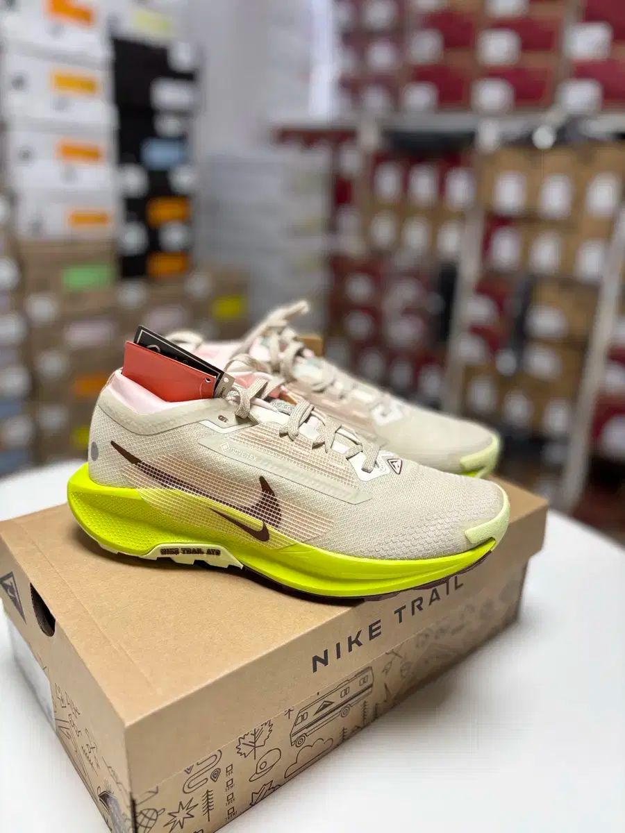 245 NIKE ナイキ スニーカー ペガサス トレイル 5 GORE-TEX ゴアテックス FQ0912 ー 101