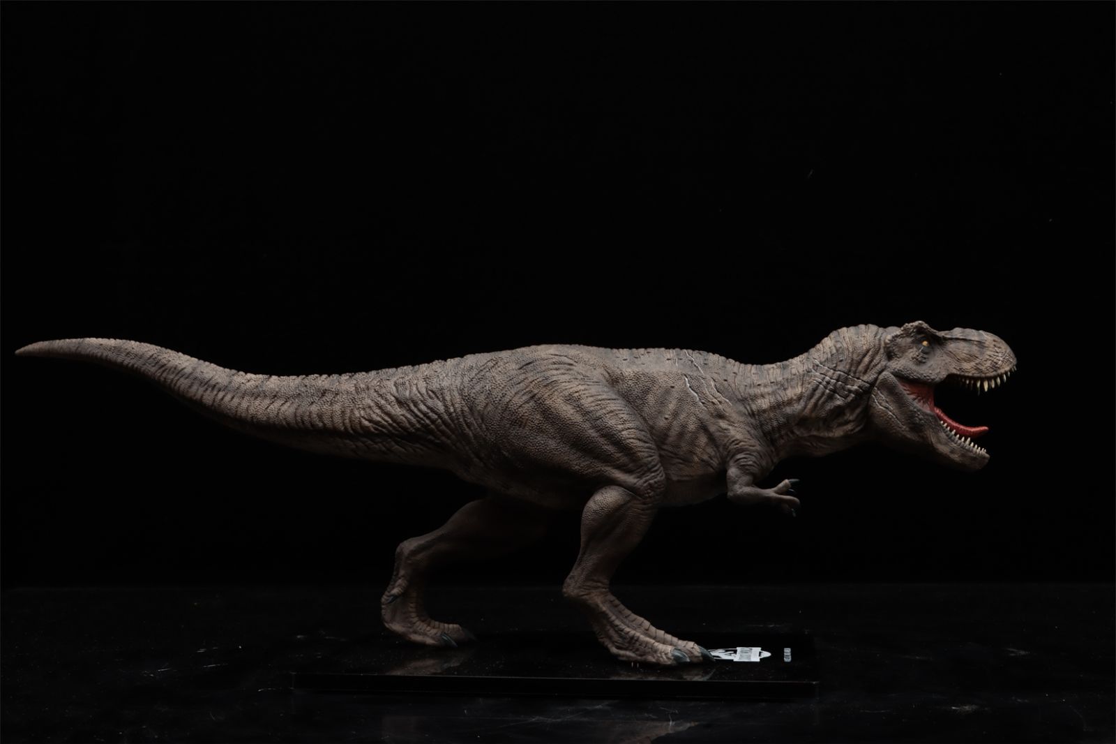 DINO DREAM 限定版 ティラノサウルス Amazon | DINO DREAM 限定版 1/30 サイズ ティラノサウルス