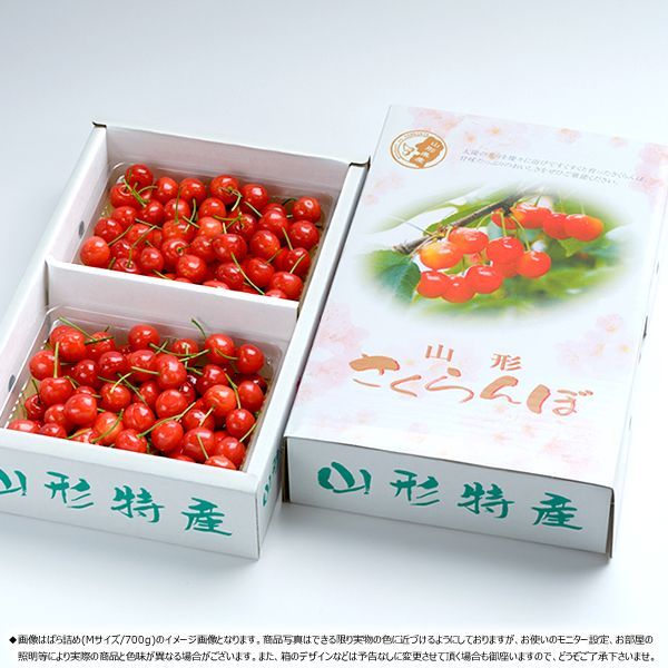 【出荷間近/6月上旬(6月7日)頃～出荷】 2025 父の日 プレゼント 山形県産 さくらんぼ 佐藤錦 700g (秀品/Mサイズ/化粧箱入り) サクランボ さとうにしき ギフト 贈り物 お祝い 内祝い ご家庭用 山形県 山形県直送 グルメ お取り寄せ
