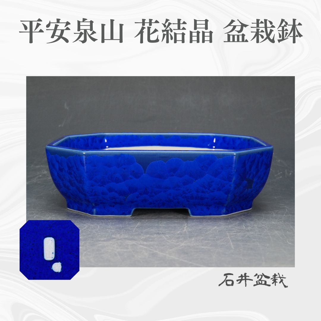 石井盆栽】平安泉山 花結晶 コレクション 盆栽鉢 p-095 石井盆栽】平安泉山 花結晶 コレクション 盆栽鉢 p-095