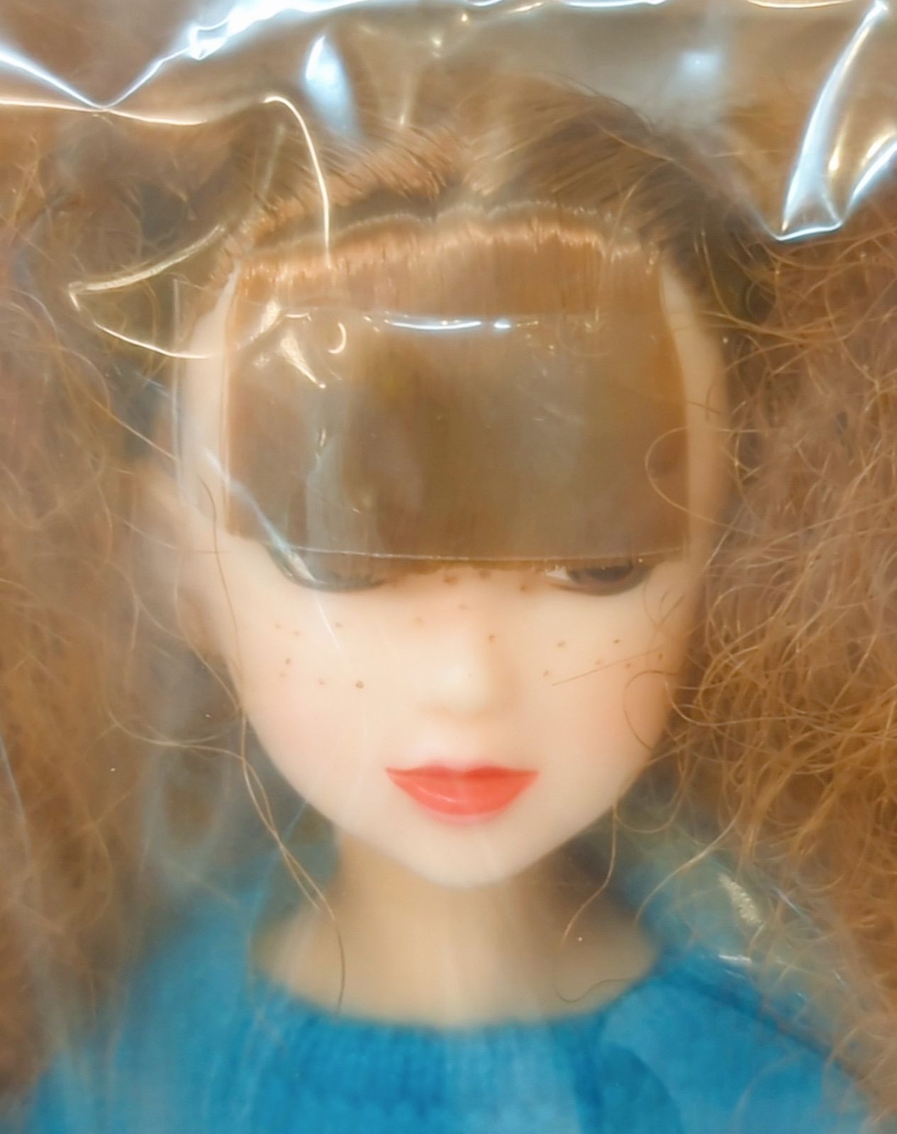 ペットワークス CCS-momoko 19AN