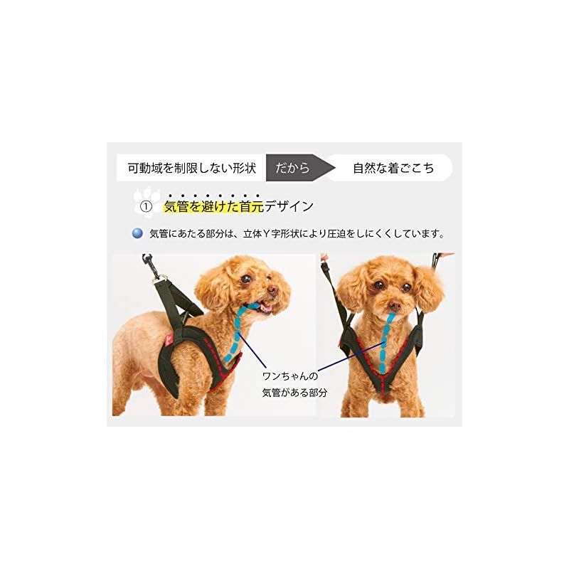 イギリス製】中型、大型犬 カラー、ハーネス、リード、プーバック 4点