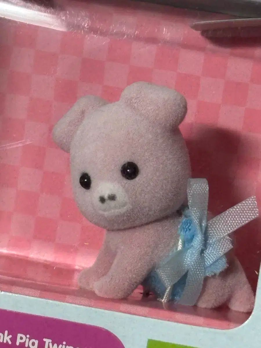 ブタ