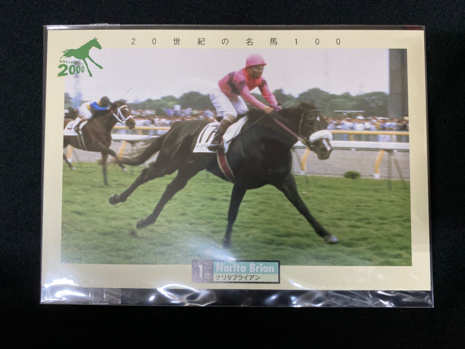 20世紀の名馬100 DVD 全10巻 BOXセット | 20世紀の名馬