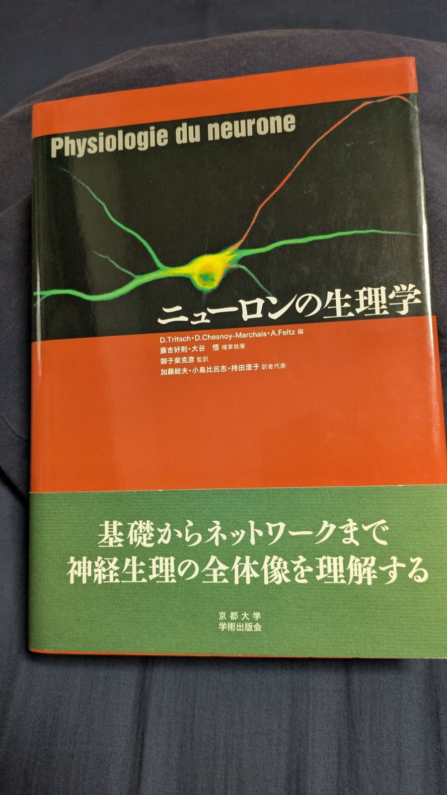ニホンザル 性の生理　和秀雄 ニホンザル 性の生理 和秀雄