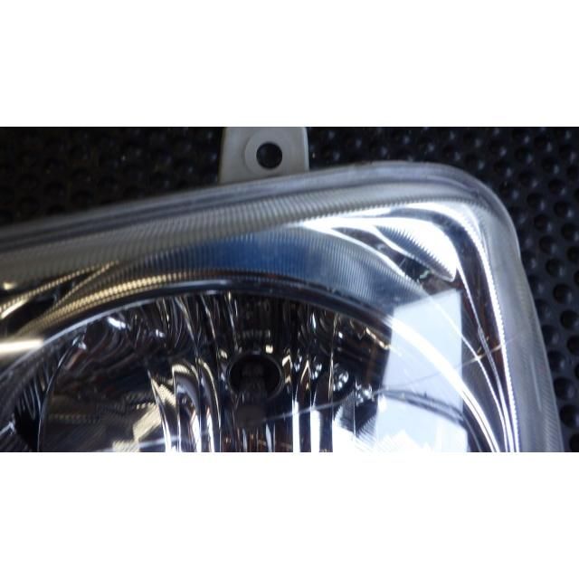 テリオスキッド