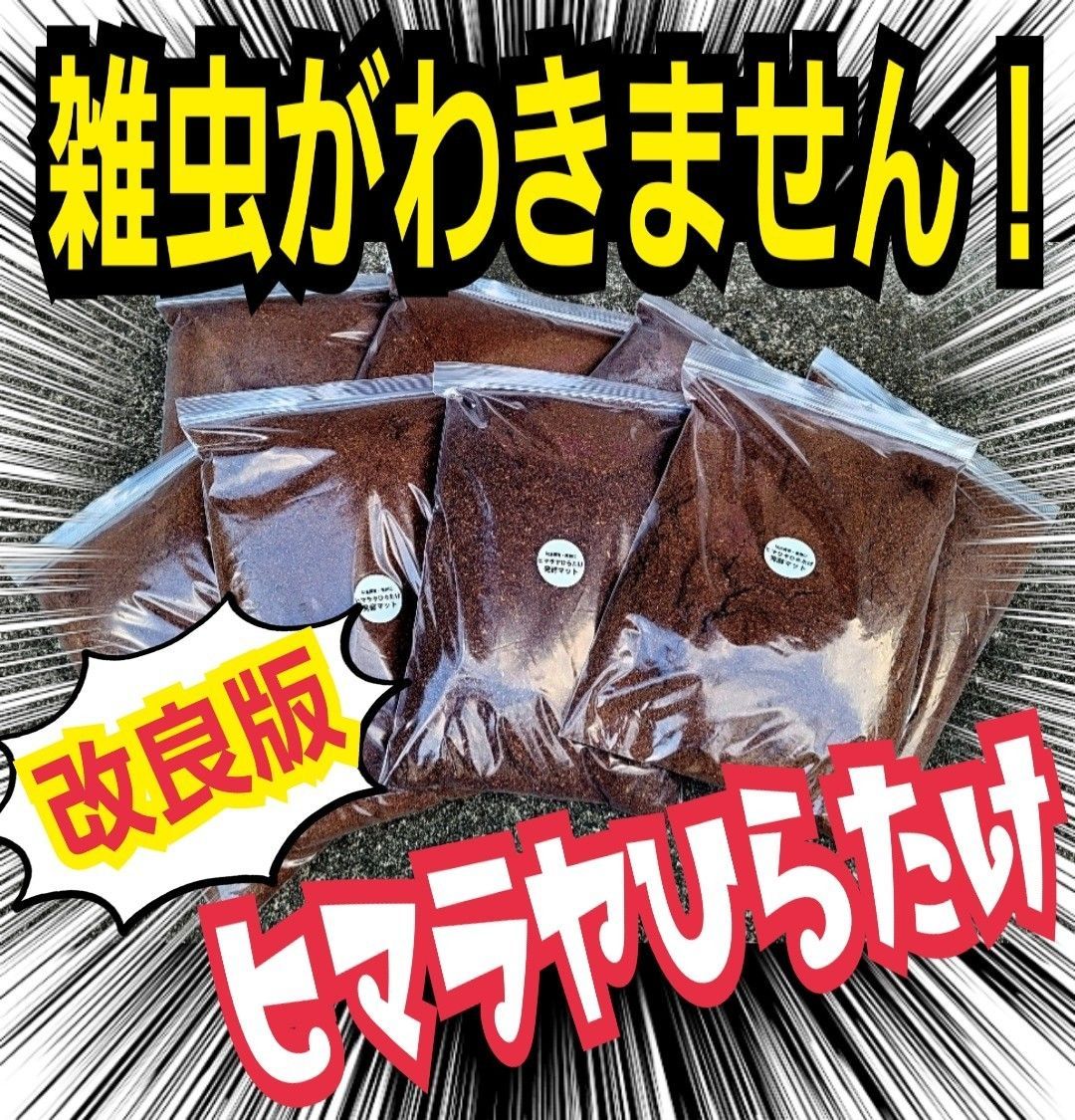 カブトムシの産卵に抜群！ヒマラヤひらたけ発酵マット【60L】雑虫が