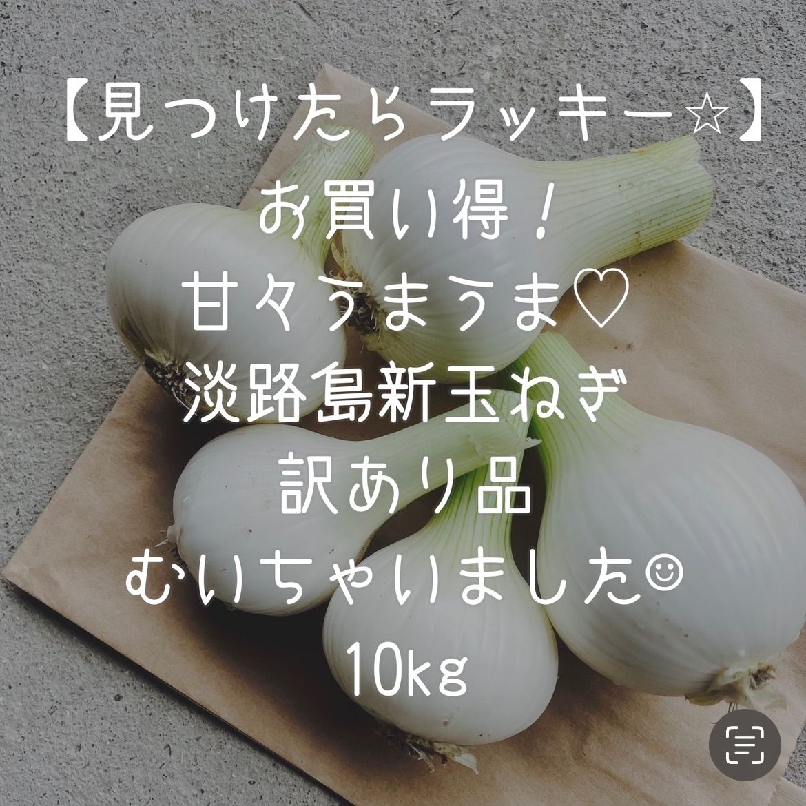 新玉ねぎ 訳あり10kg ⭐︎ - 野菜