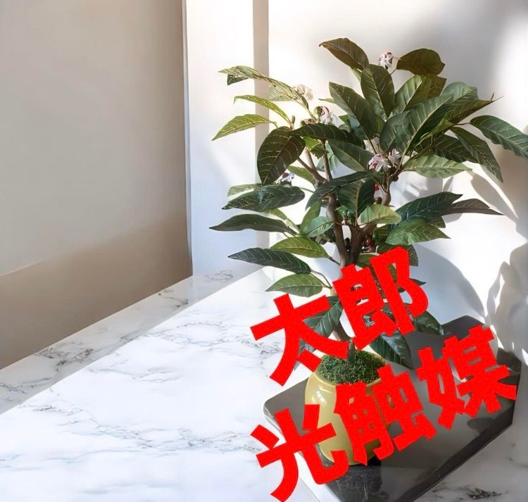 光触媒　人工観葉植物　ウォールグリーン　フェイクグリーン　コーヒーの木g@'t 光触媒 人工観葉植物 ウォールグリーン フェイクグリーン コーヒーの木