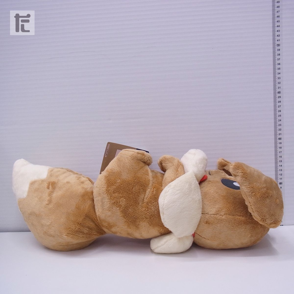 ※エラー品※ 一番くじ だっこしてイーブイ ポケモン 一番くじ B賞 だっこしてイーブイ ぬいぐるみ 紙タグ