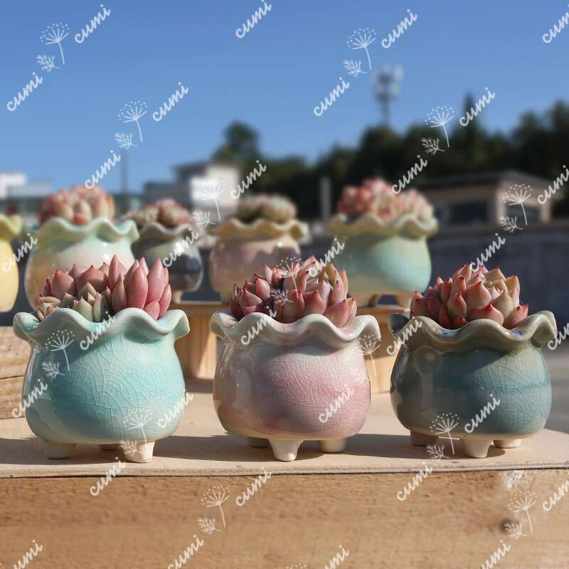 N0322【韓国】 3号 8個セット 花びら 窯変 貫入 浮彫 植木鉢 室内 N0322 韓国 3号 8個セット 花びら 窯変 貫入 浮彫 植木鉢 室内