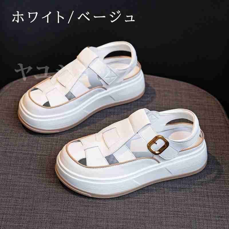 メッシュ