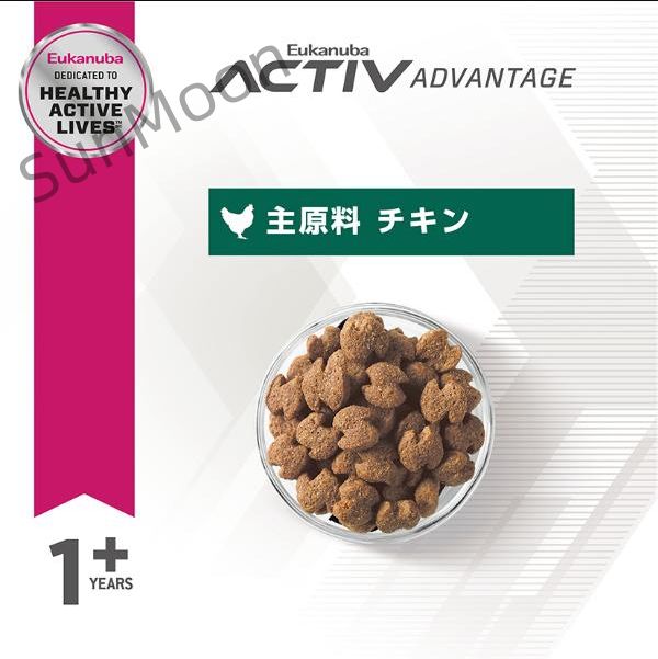 スモール フィットボディ