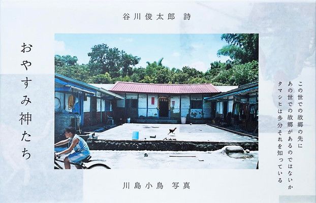 エッセンシャル植物生理学 農学系のための基礎 (KS農学専門書