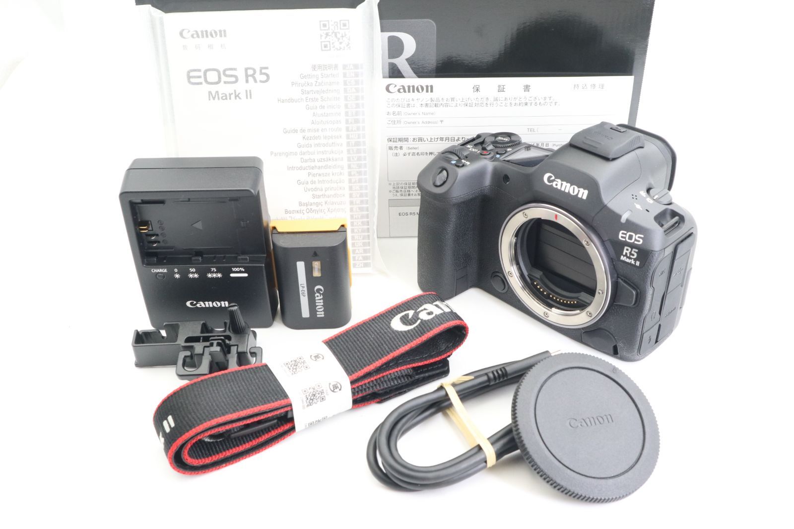 10コマ連写❤️SONY α65❤️ 動体撮影に最強❤️GPS内蔵❤️Wレンズ