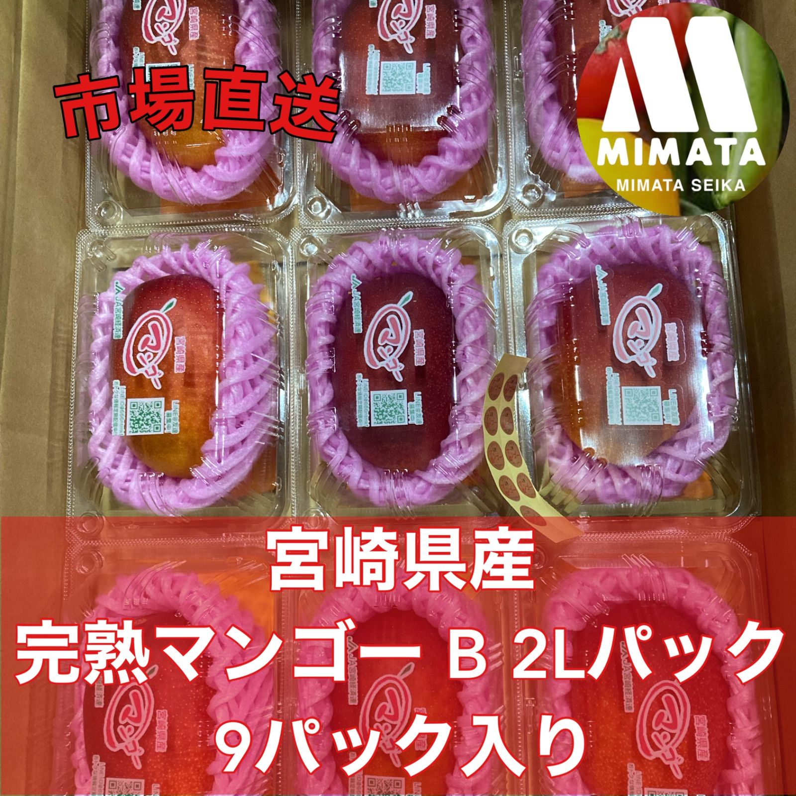 宮崎県産 完熟マンゴー B 2Lパック 9パック入り