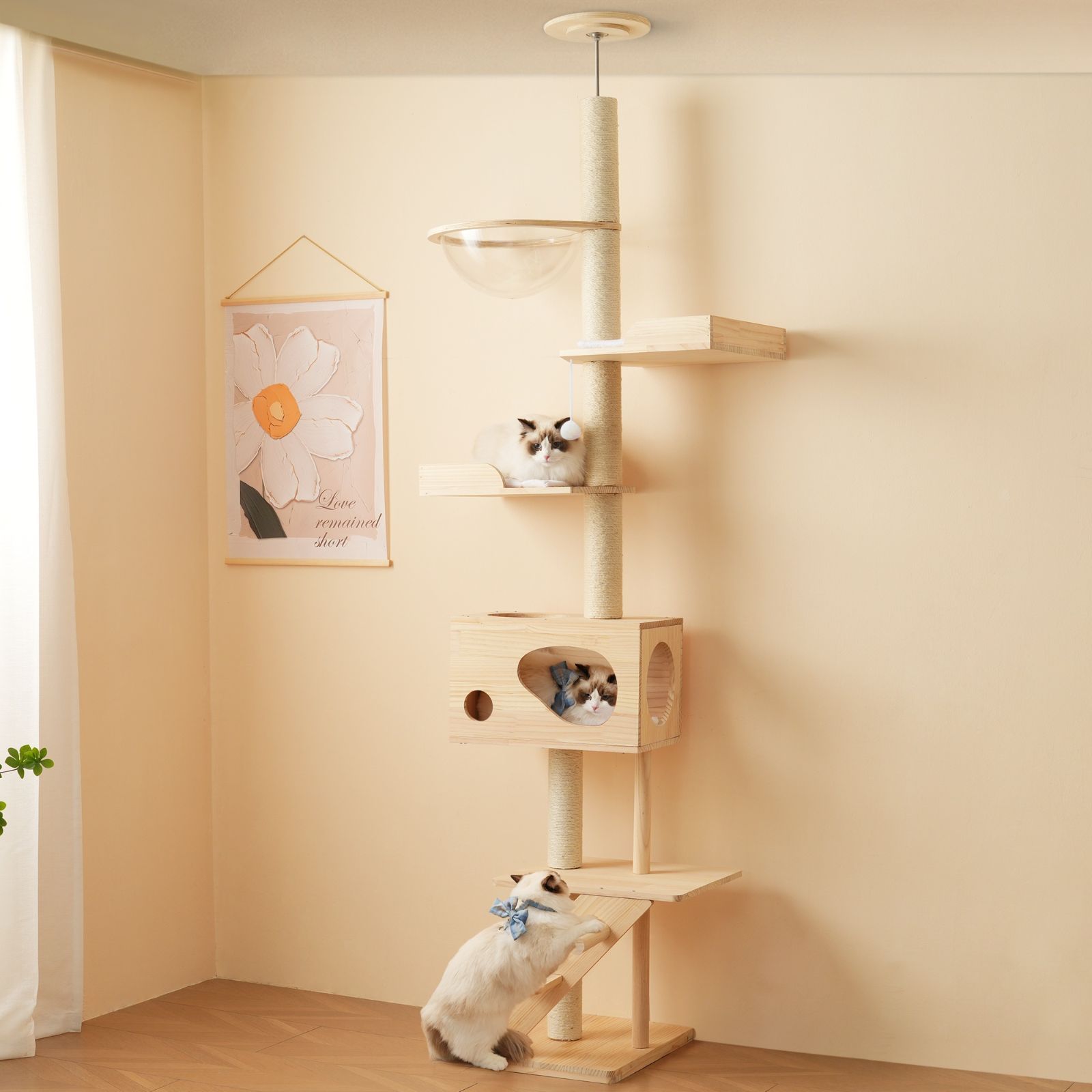 フォロー特典 全品5%OFF割引クーポン キャットタワー 猫タワー キャットツリー スリム 突っ張り 高さ260cm 木登りタワー ネコタワー 宇宙船付き 上り下りしやすい 爪とぎポール 木製 可愛い 子猫 大型猫 マット付き ペット用