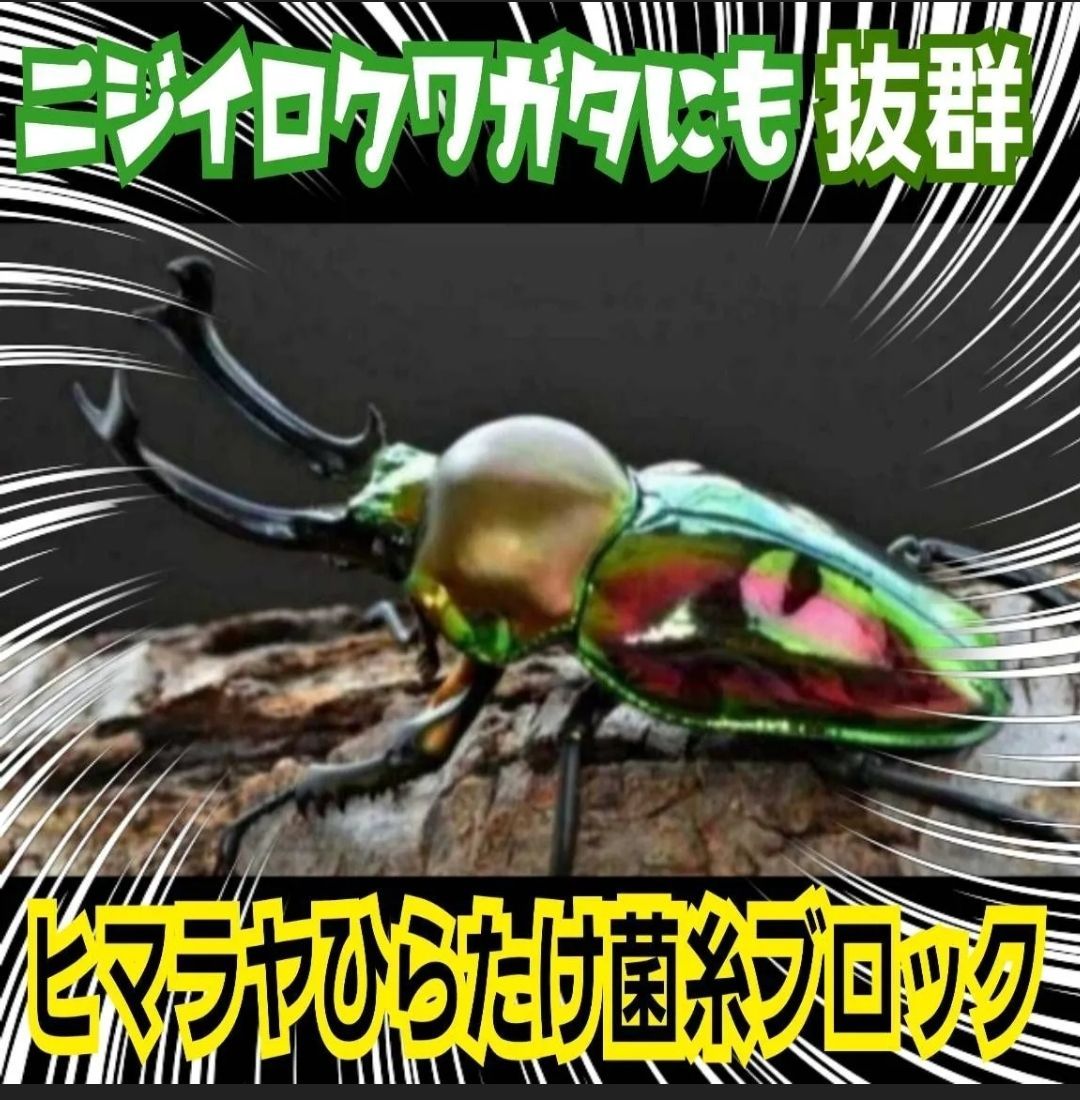 ニジイロ ノコギリに抜群