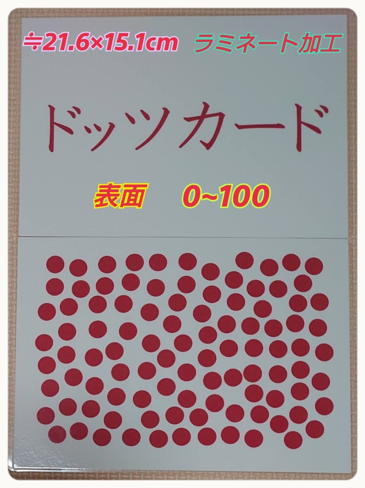 新品〘０歳から始める〙ドッツカード【0〜100】算数記号、袋付 