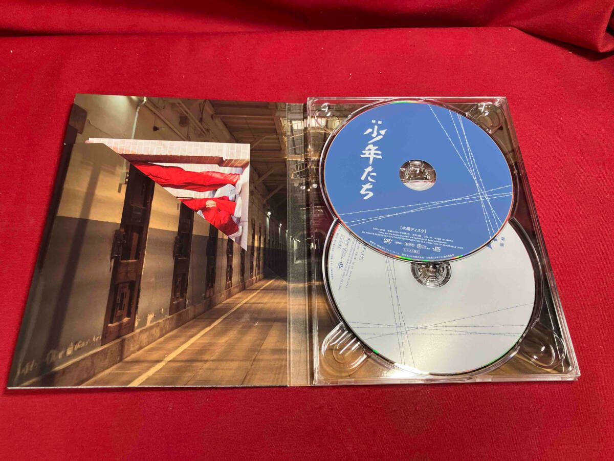 DVD 映画 少年たち 特別版 - メルカリ