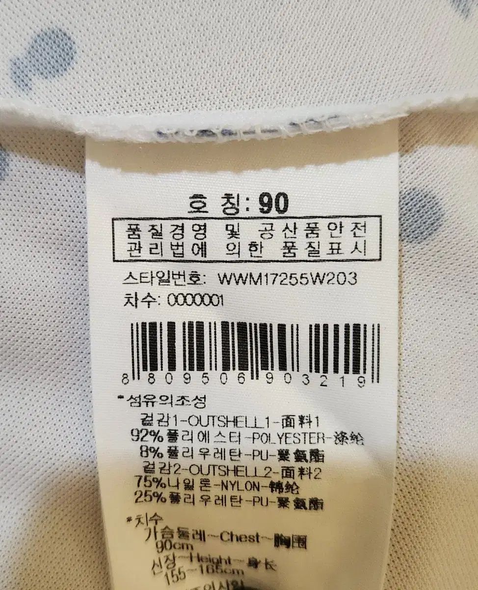 シースルー Tシャツ