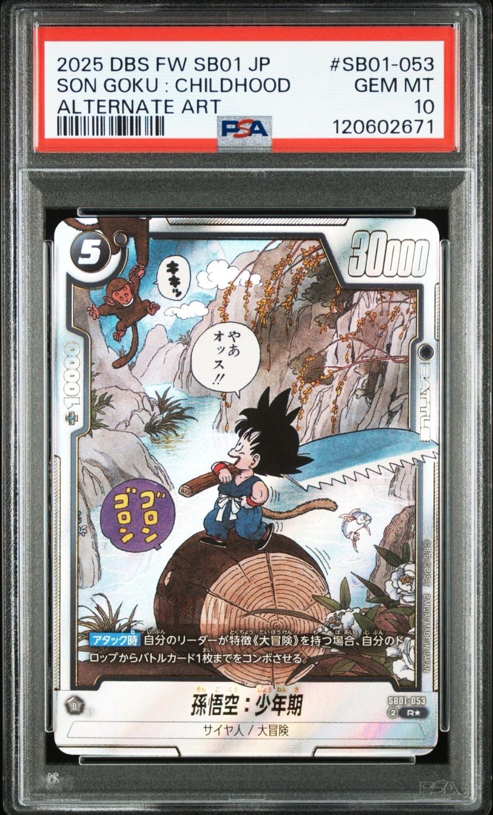 PSA10連番】2連番 ドラゴンボールフュージョンワールド R