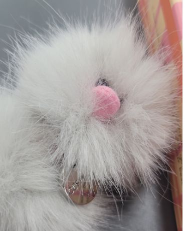 COSYMOSY 醜い鳥 キーリング