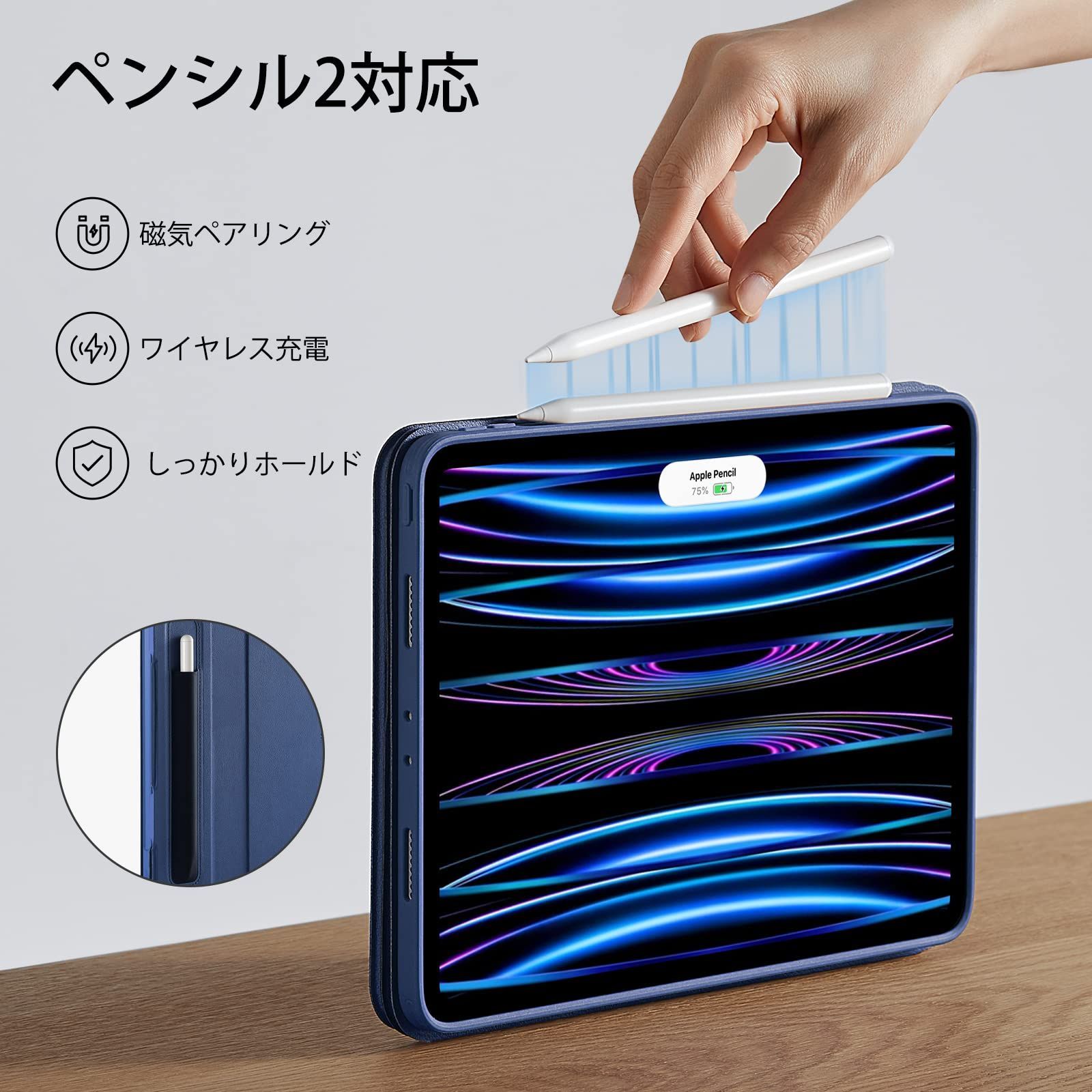 iPad ESR