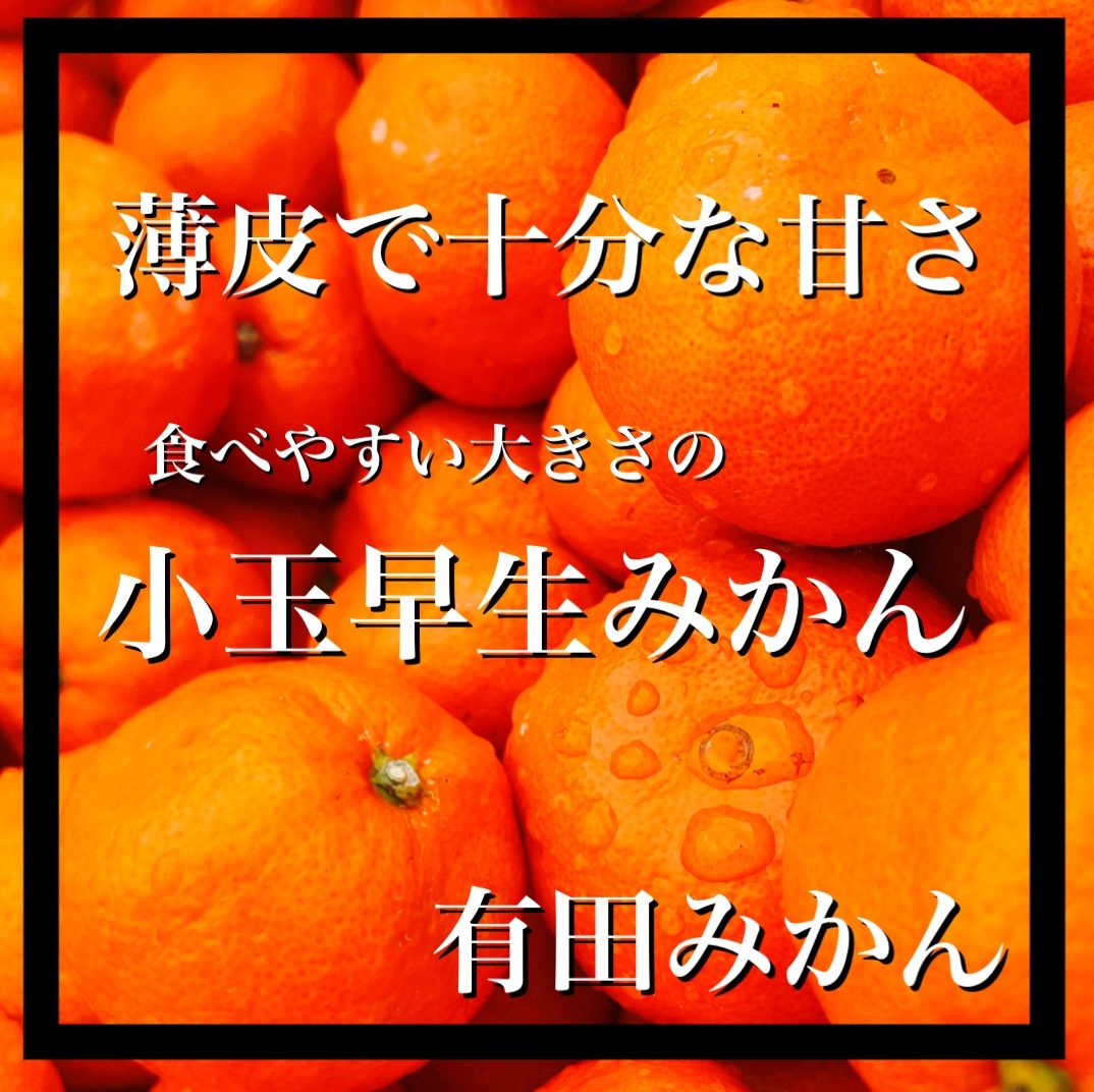 小玉　有田みかん　3キロ　訳あり　家庭用　産地直送　有田みかん　和歌山県