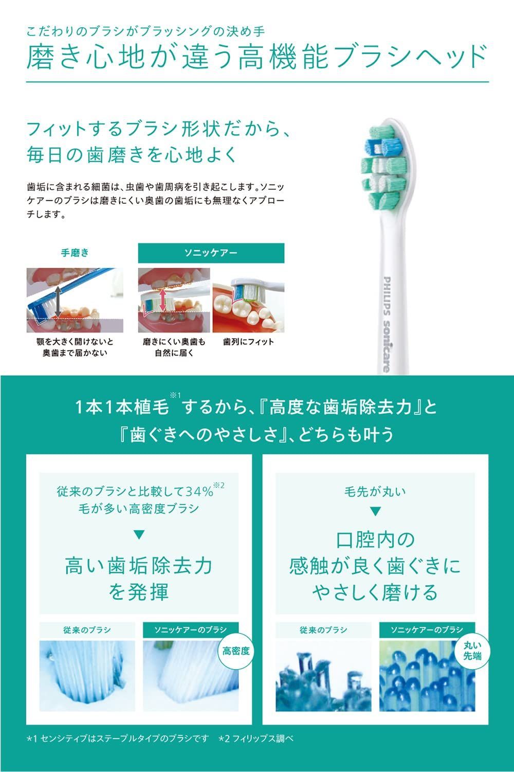 モデル