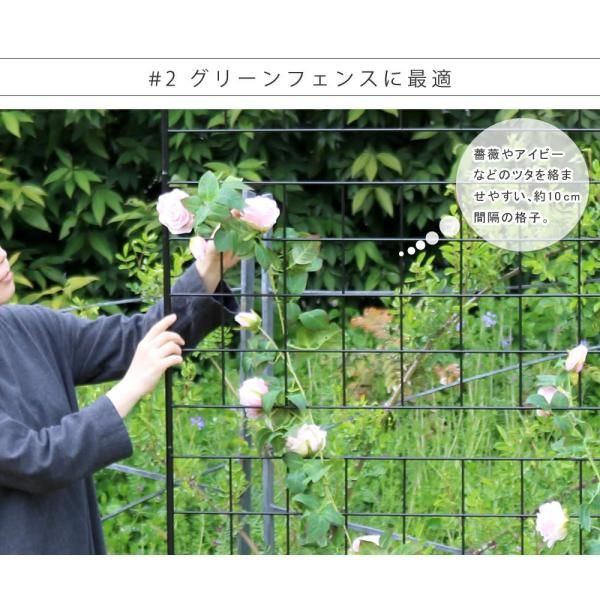 アイアンフェンス フェンス