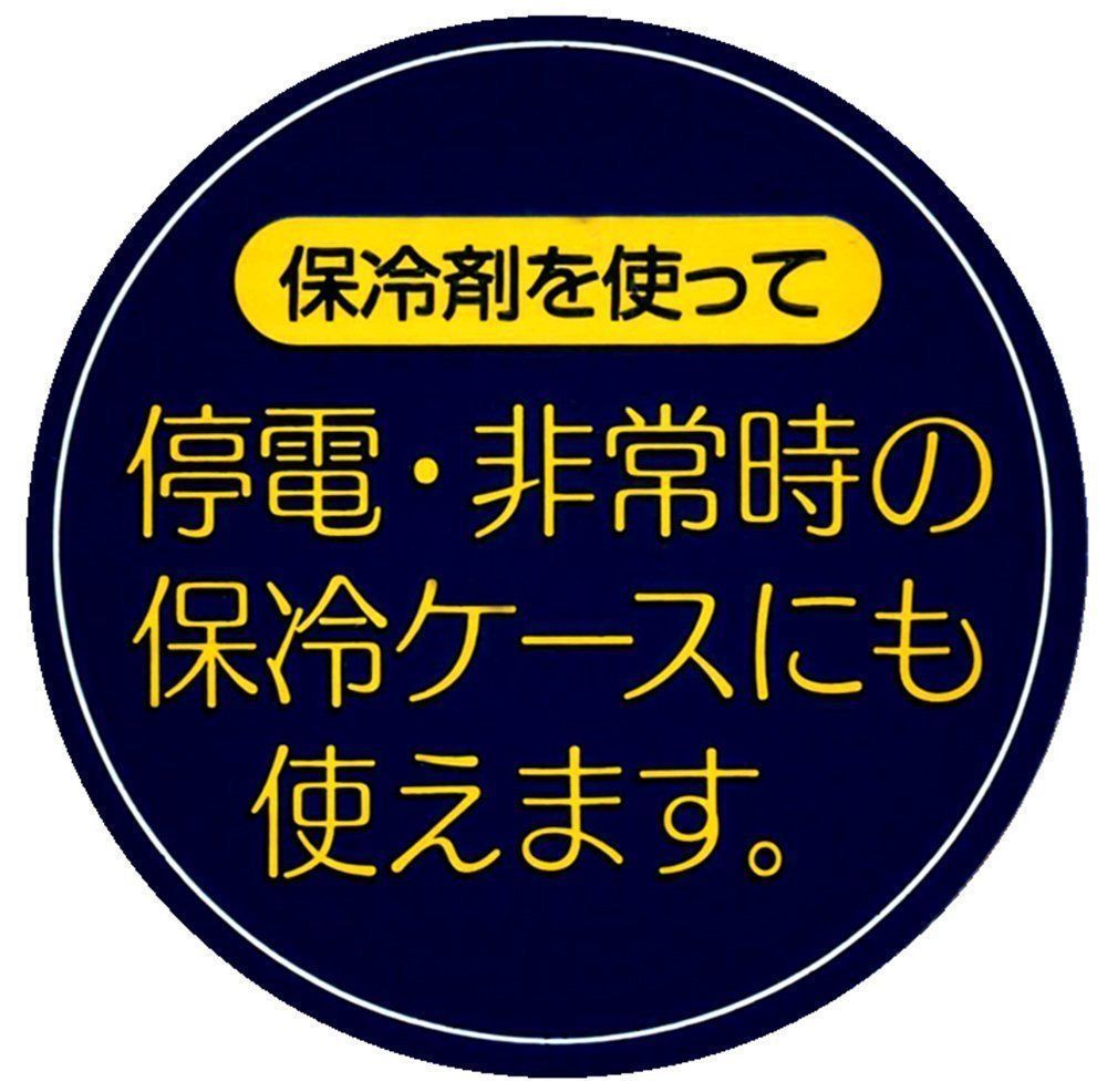 スケーター skater 行楽弁当箱 保冷バッグ付 保冷剤付 トイ