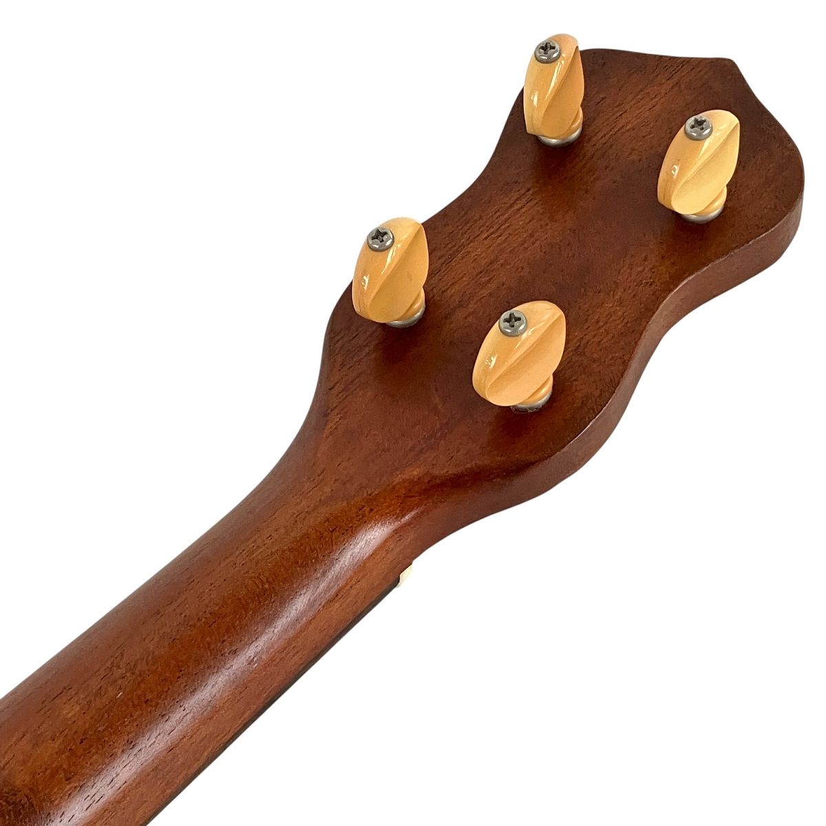 保管袋付き 楽器