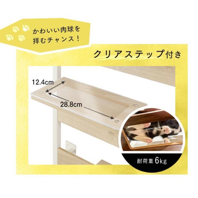 突っ張り