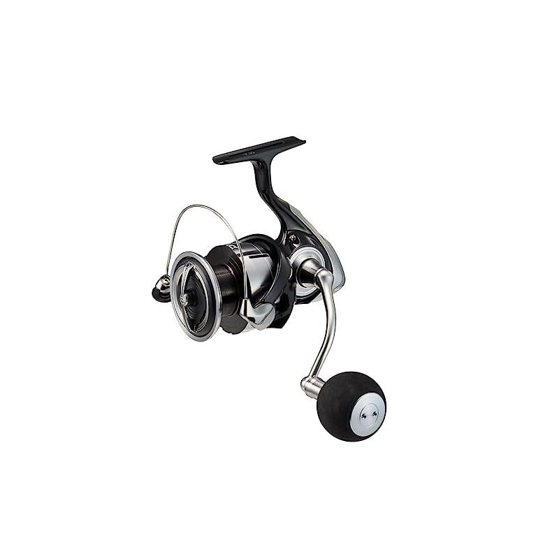 EXA LEXA スピニングリール LOZZAUST ダイワ(DAIWA) スピニングリール 23レグザ(LEXA) LT5000-C 1 【公式通販】