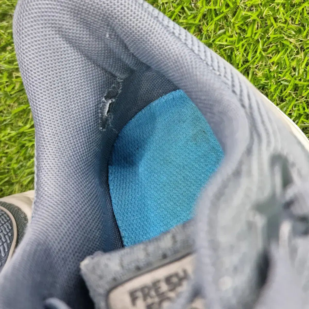 フレッシュフォーム