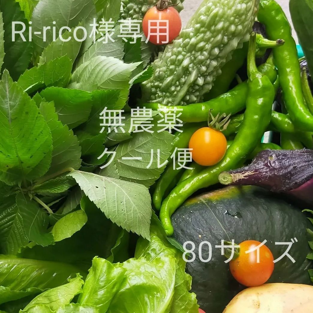 Ri-rico様専用 採れたて！無農薬お野菜お任せセット、80サイズクール便