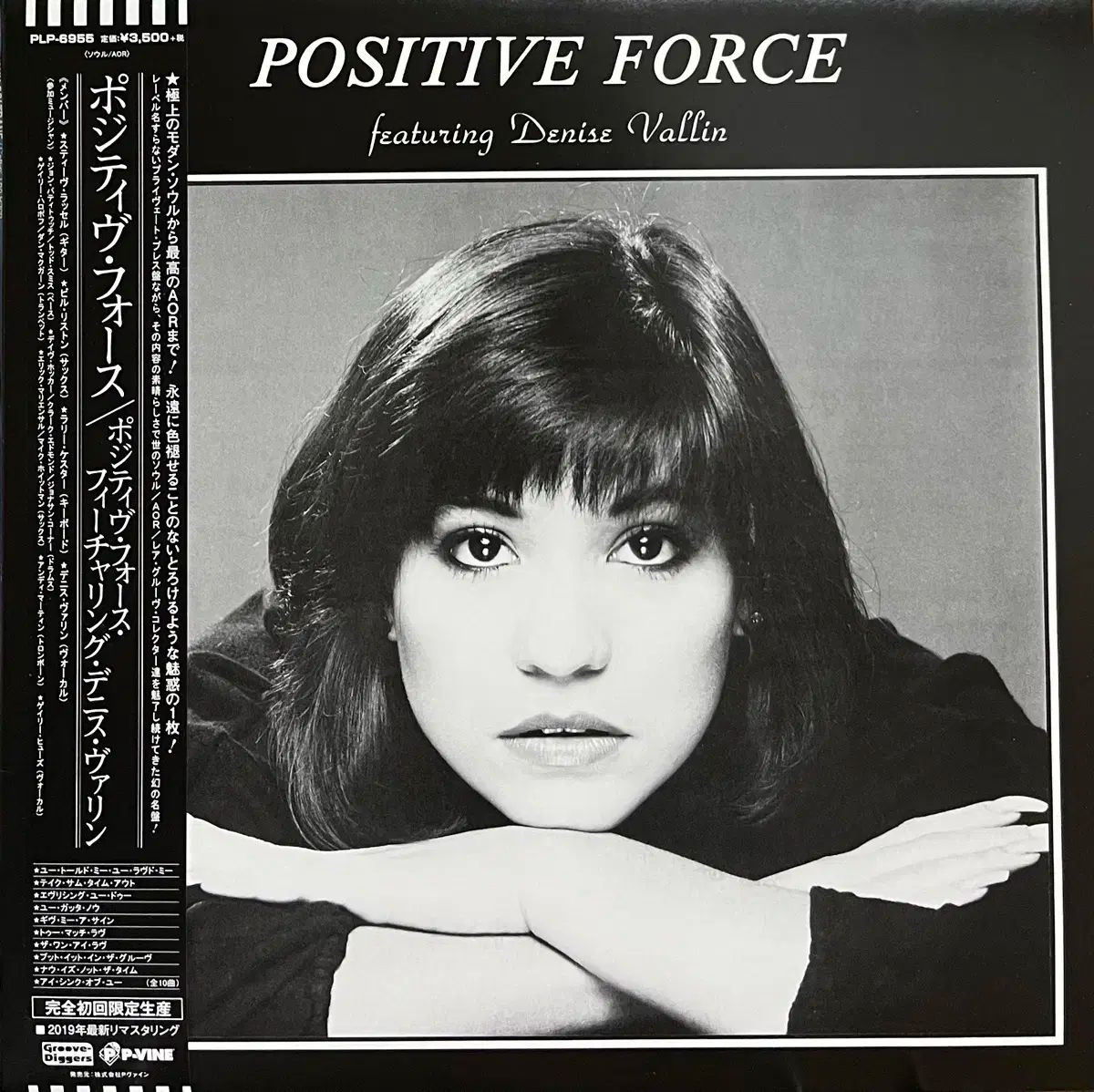 AOR Positive Force Feat Denise Vallin lp
