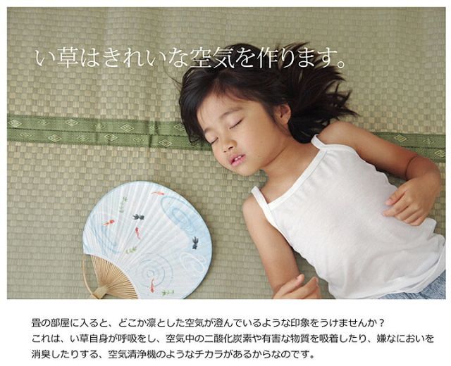 不知火 本間6畳