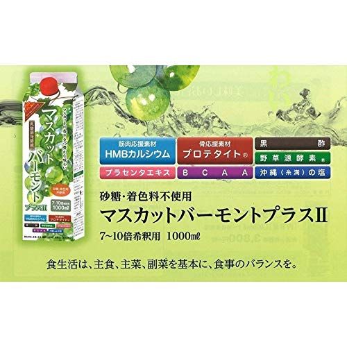 乳酸菌発酵液 マスカットバーモントプラスII 1000ml入り 3本セット 元気プロジェクト