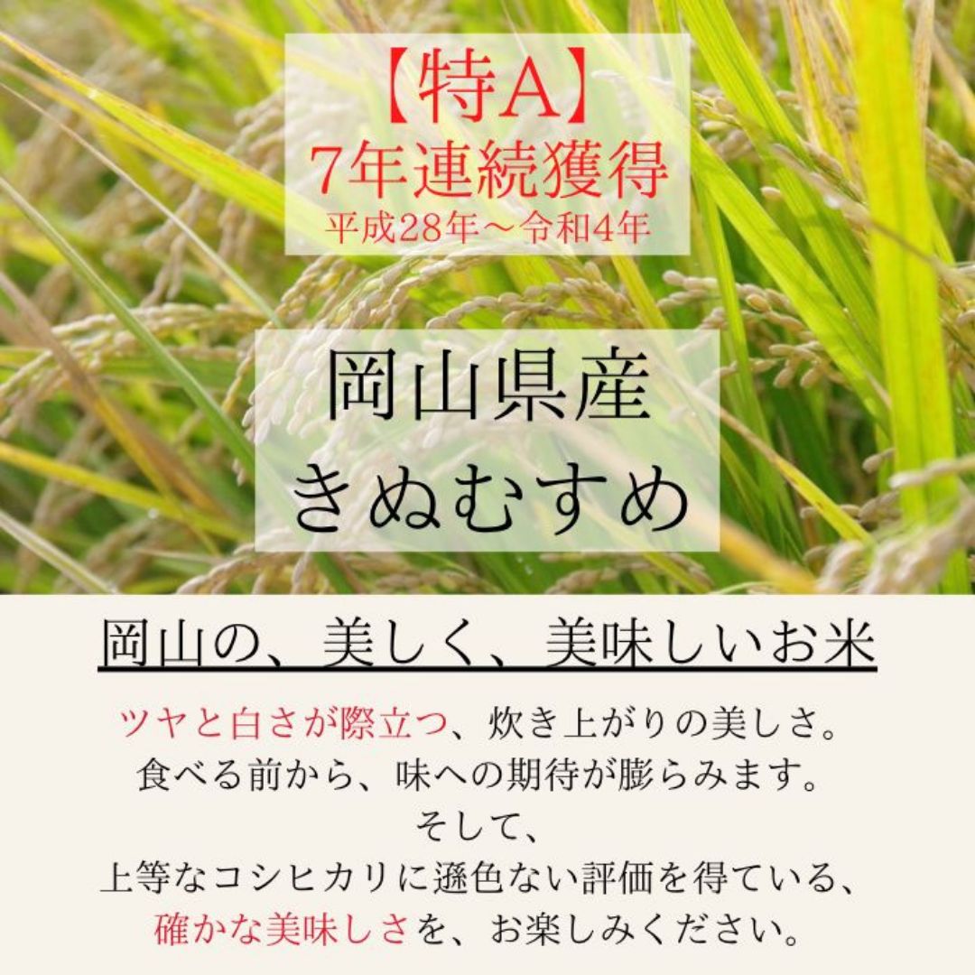 5kg×2 白米