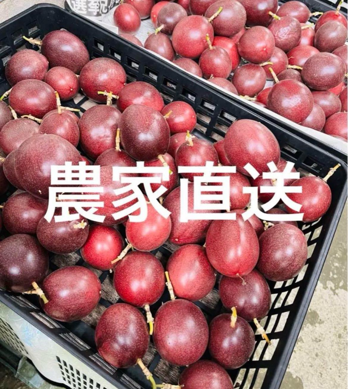 秀品パッションフルーツ2Lサイズ3ケースお届け