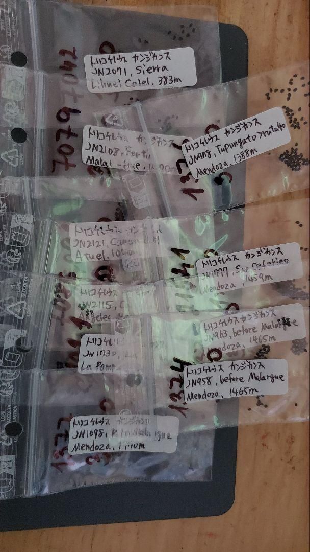 トリコケレウス 種子45種類 10粒ずつセット - メルカリ